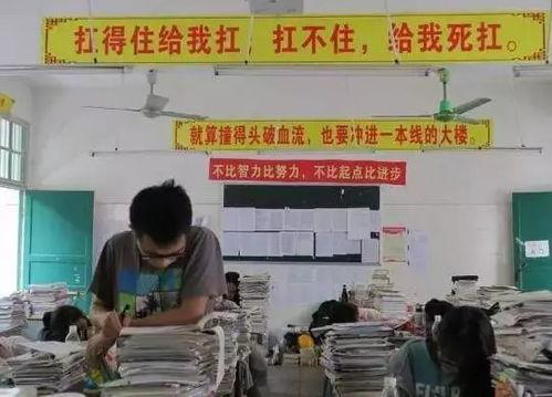 娱乐吃瓜酱高中开学